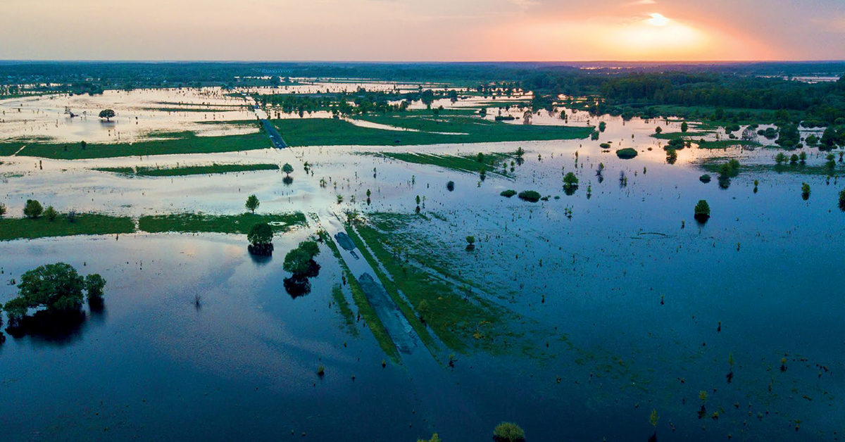 De Nederlandse strategie voor klimaatadaptatie als uitgangspunt