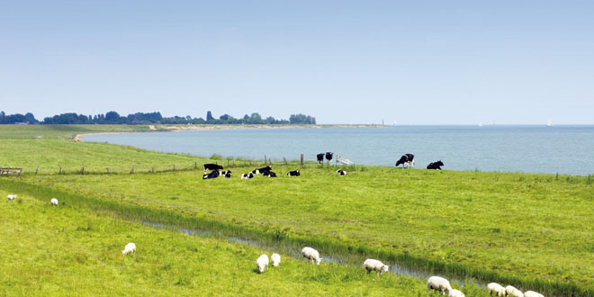 Wat is omgevingsrecht?