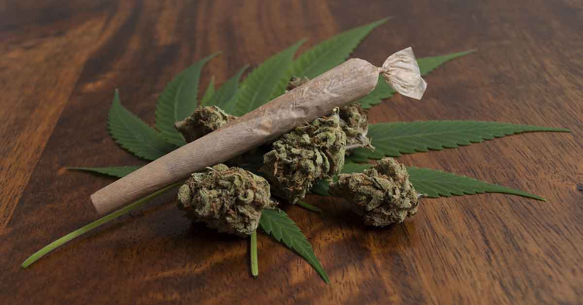 Niet-Europese hennep is gat in de markt voor Nederlandse drugscriminelen