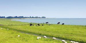 Natuur - wetbescherming